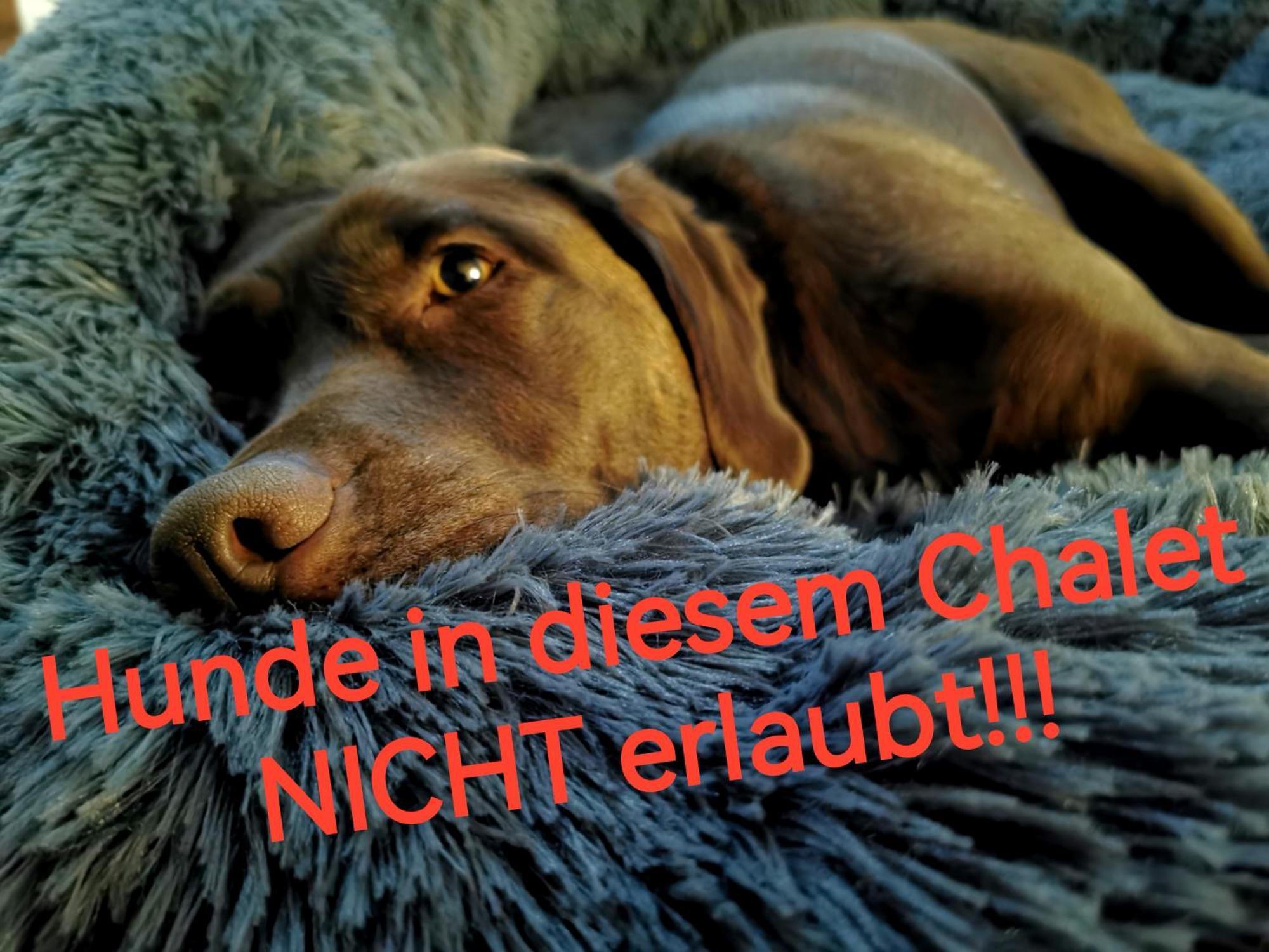 Blockhausen Luxus Chalets Oberschwarzenberg ภายนอก รูปภาพ